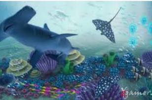 so米体育-在线观看nba直播|足球|篮球cba比赛高清视频电脑免费版